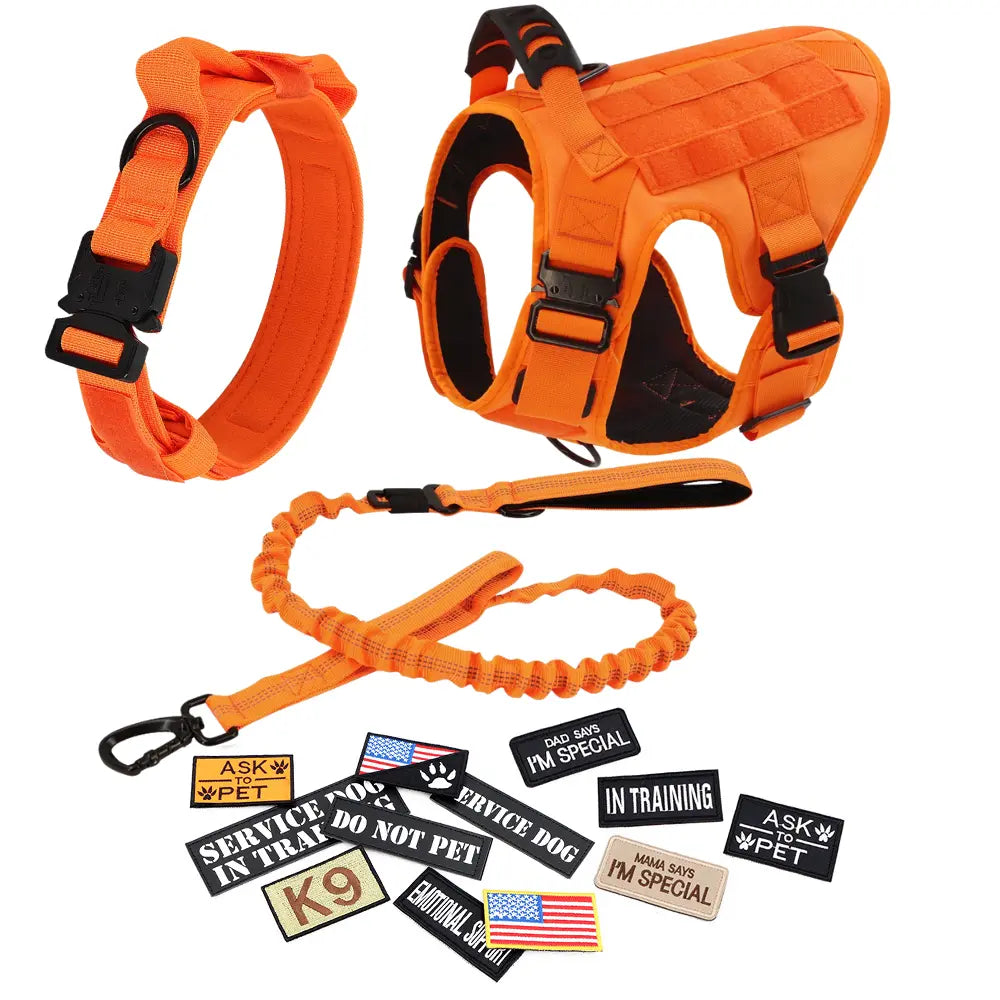 Adjustable Dog Harness, Leash, and Collar Set with 12 Patches for Medium to Large Dogs - Ideal for Outdoor Activities