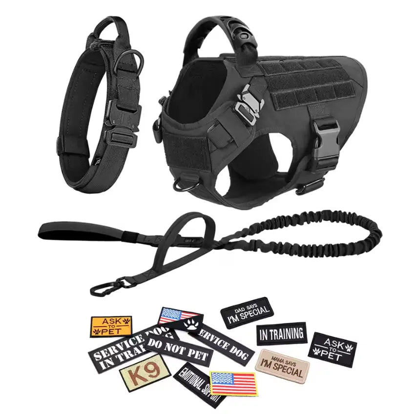 Adjustable Dog Harness, Leash, and Collar Set with 12 Patches for Medium to Large Dogs - Ideal for Outdoor Activities