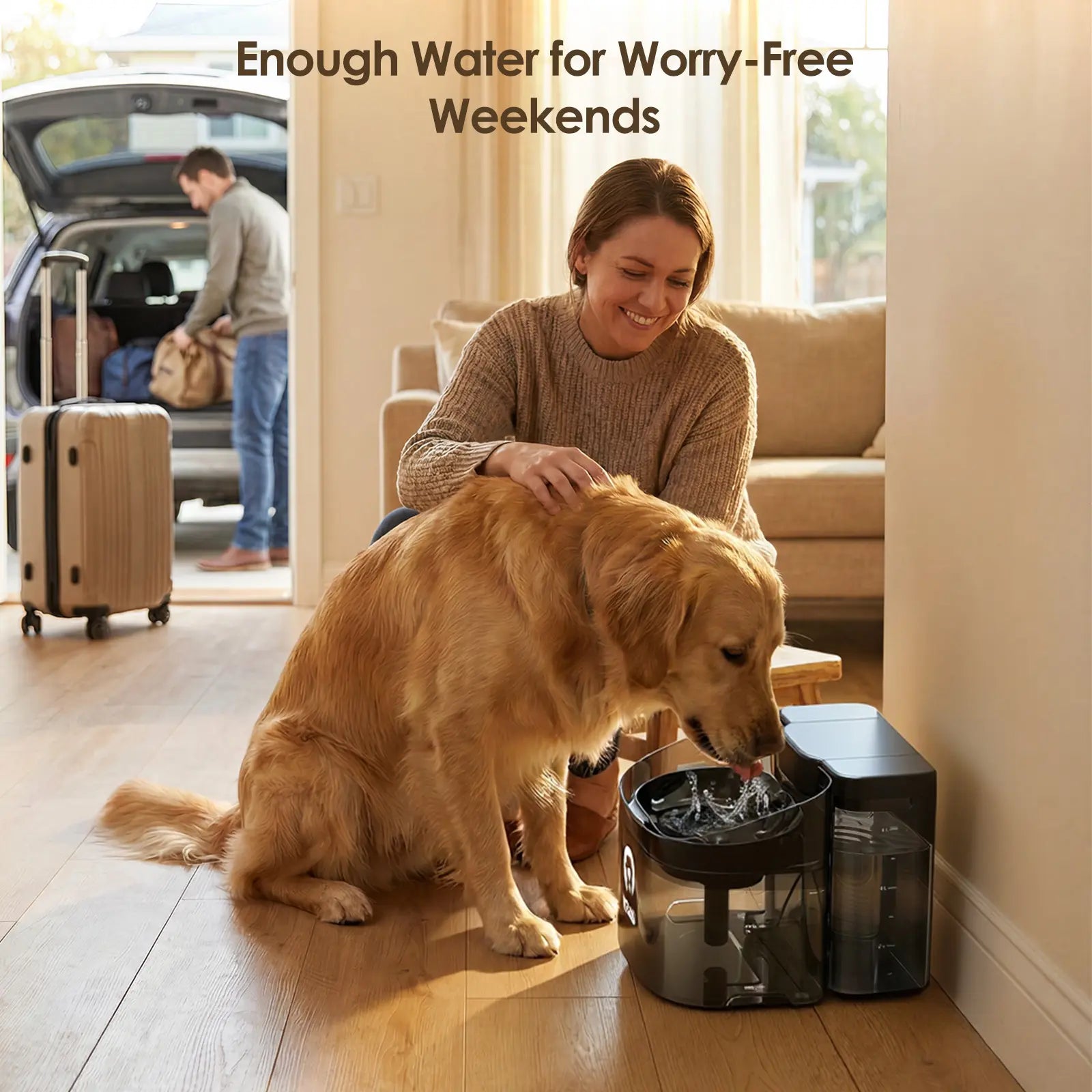 VEWO 11L Large Dog Water Fountain for Big Breeds - Spill-Free Dispenser with Deep Basin, BPA-Free, Ultra Quiet, 7-Day Refill Capacity for Large Dogs and Multi-Pet Homes