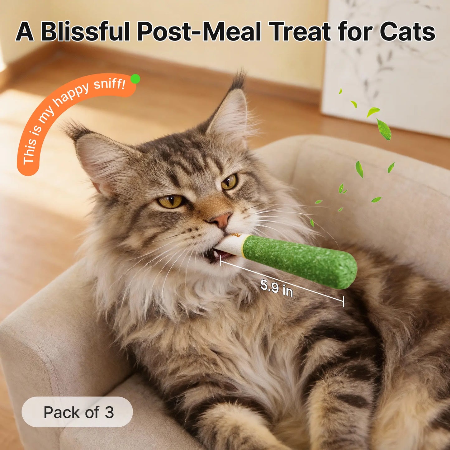 Potaroma Natural Silvervine Cat Toys – Interactive Chew Kicker for Indoor Cats and Kittens – Boredom and Stress Relief Solutions