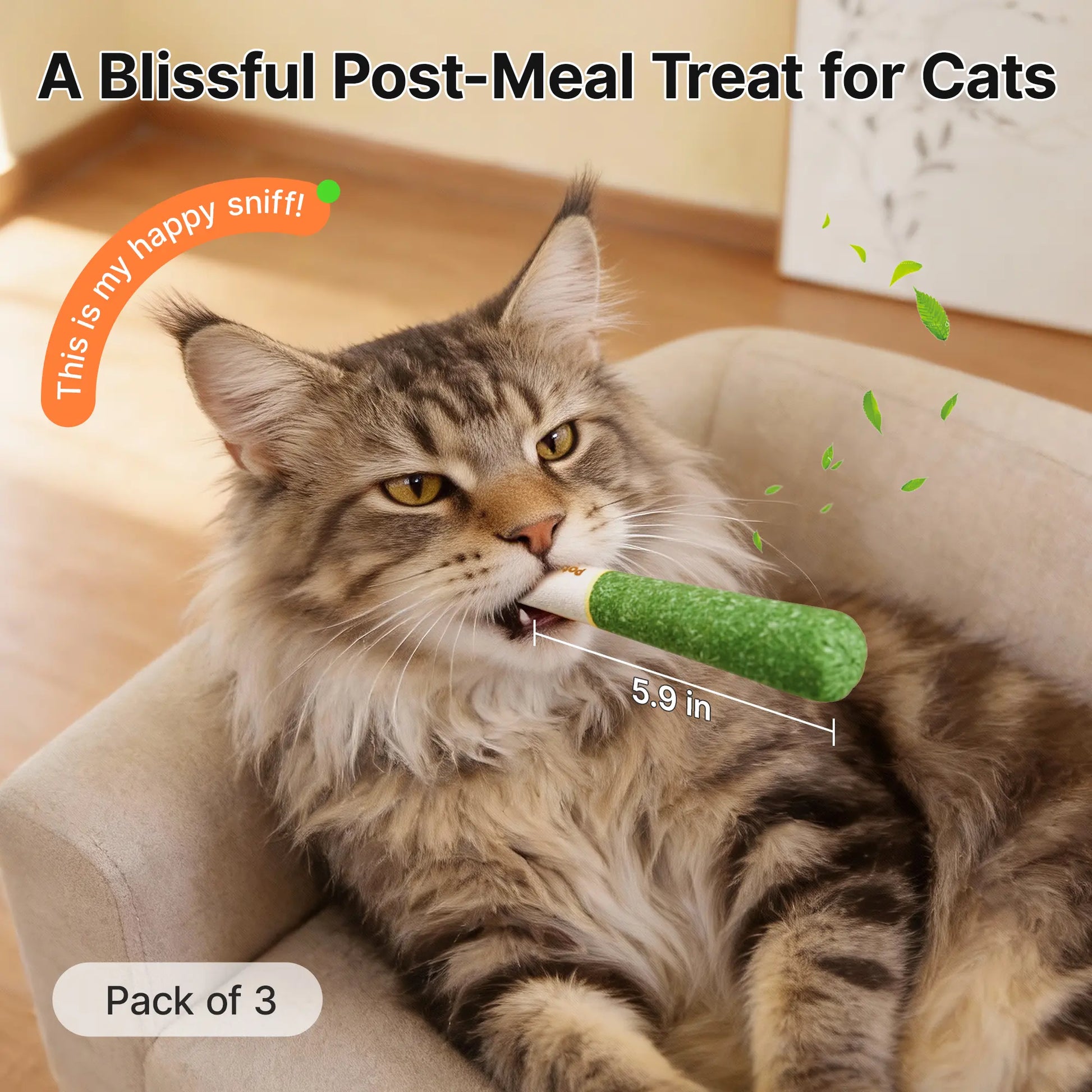 Potaroma Natural Silvervine Cat Toys – Interactive Chew Kicker for Indoor Cats and Kittens – Boredom and Stress Relief Solutions
