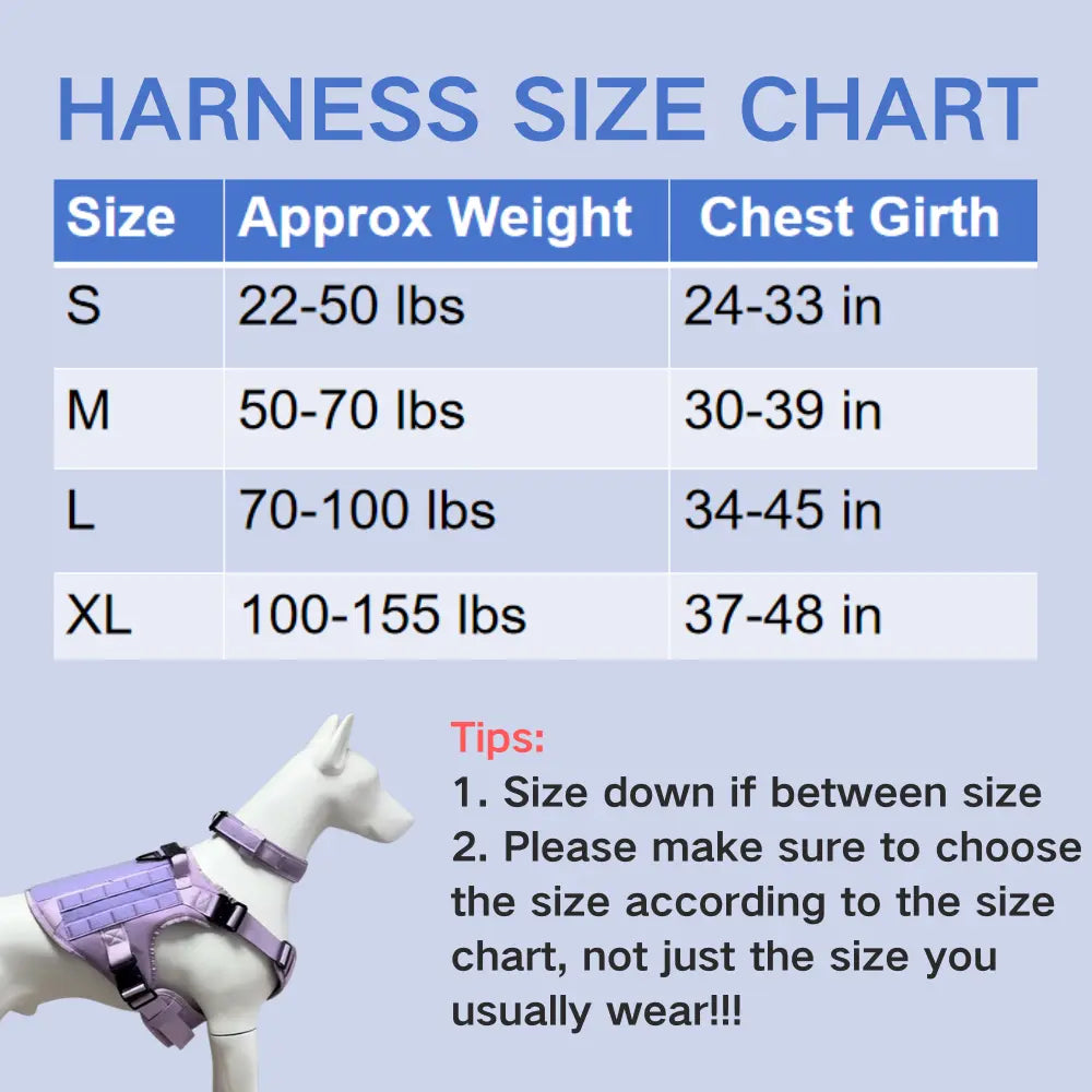 Adjustable Dog Harness, Leash, and Collar Set with 12 Patches for Medium to Large Dogs - Ideal for Outdoor Activities