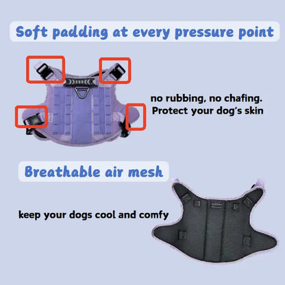 Adjustable Dog Harness, Leash, and Collar Set with 12 Patches for Medium to Large Dogs - Ideal for Outdoor Activities