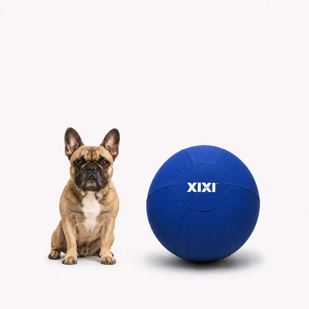 Xixipup Interactive Herding Ball for High-Energy Dogs, Heavy-Duty Oxford Cover Inflatable Exercise & Training Toy, 18/22/25 Inch
