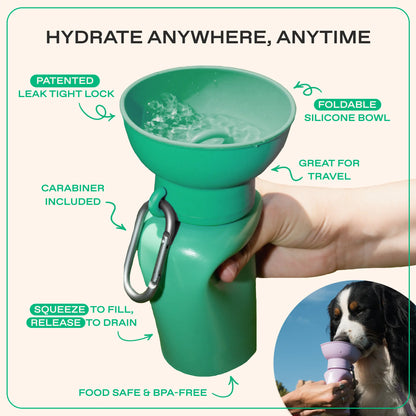 Tiktok Exclusive: 20Oz Flip Dog Travel Water Bottles (Set of 2)