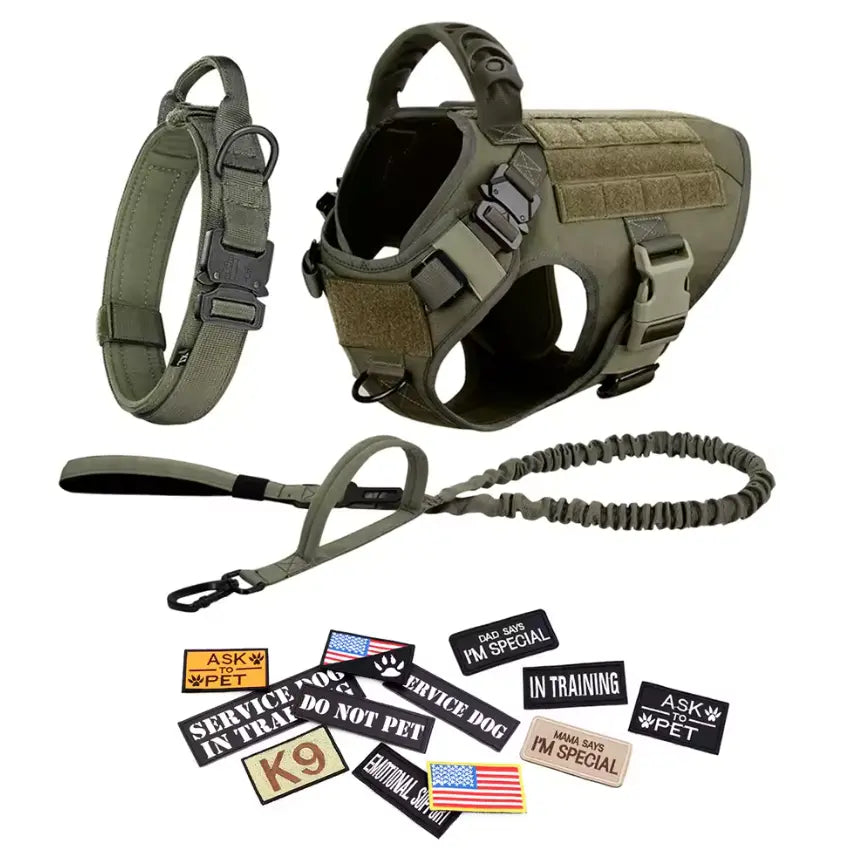Adjustable Dog Harness, Leash, and Collar Set with 12 Patches for Medium to Large Dogs - Ideal for Outdoor Activities