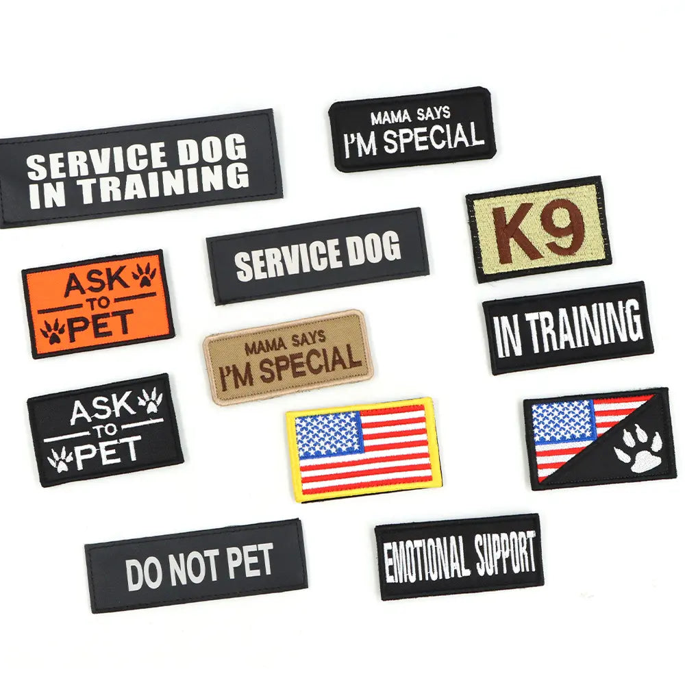 Adjustable Dog Harness, Leash, and Collar Set with 12 Patches for Medium to Large Dogs - Ideal for Outdoor Activities