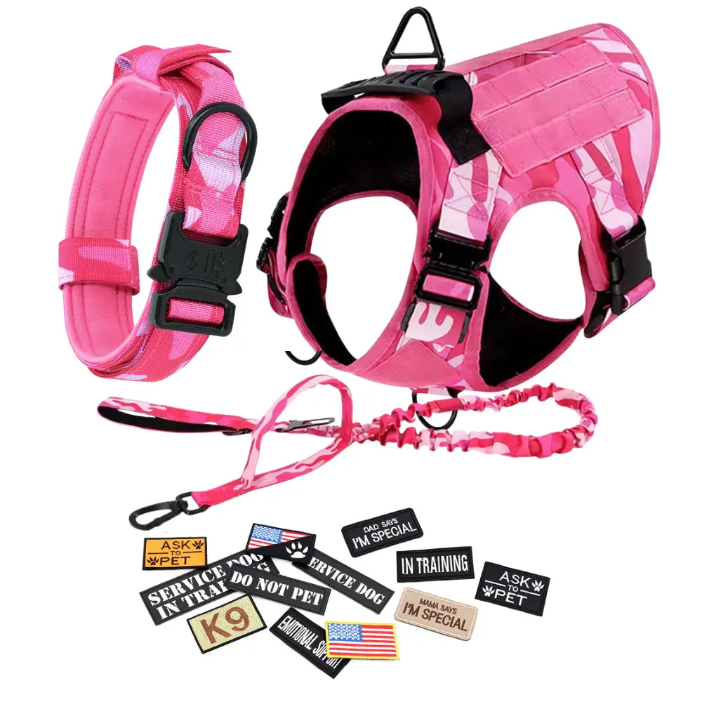 Adjustable Dog Harness, Leash, and Collar Set with 12 Patches for Medium to Large Dogs - Ideal for Outdoor Activities